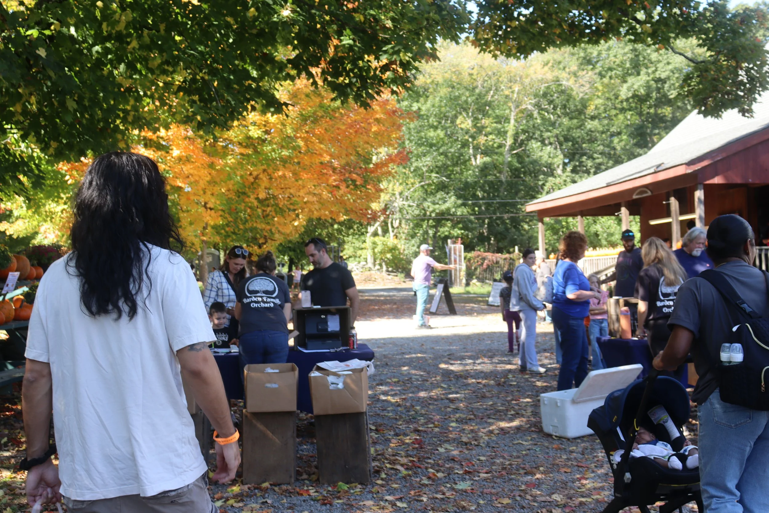 People walking and browsing outdoor market stalls surrounded by trees with fall foliage in a park during daytime.