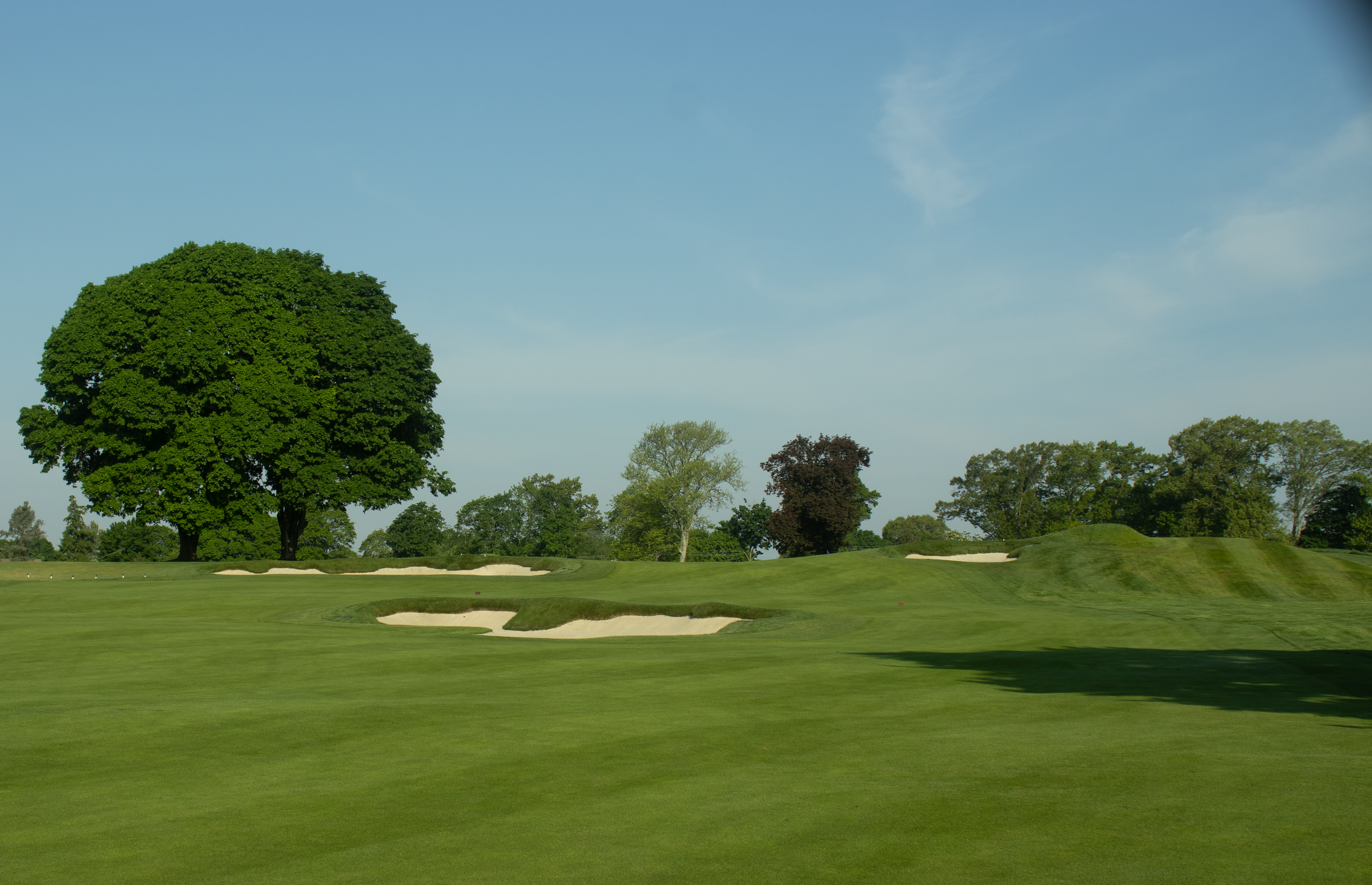 golf greens full shot 1-3.png