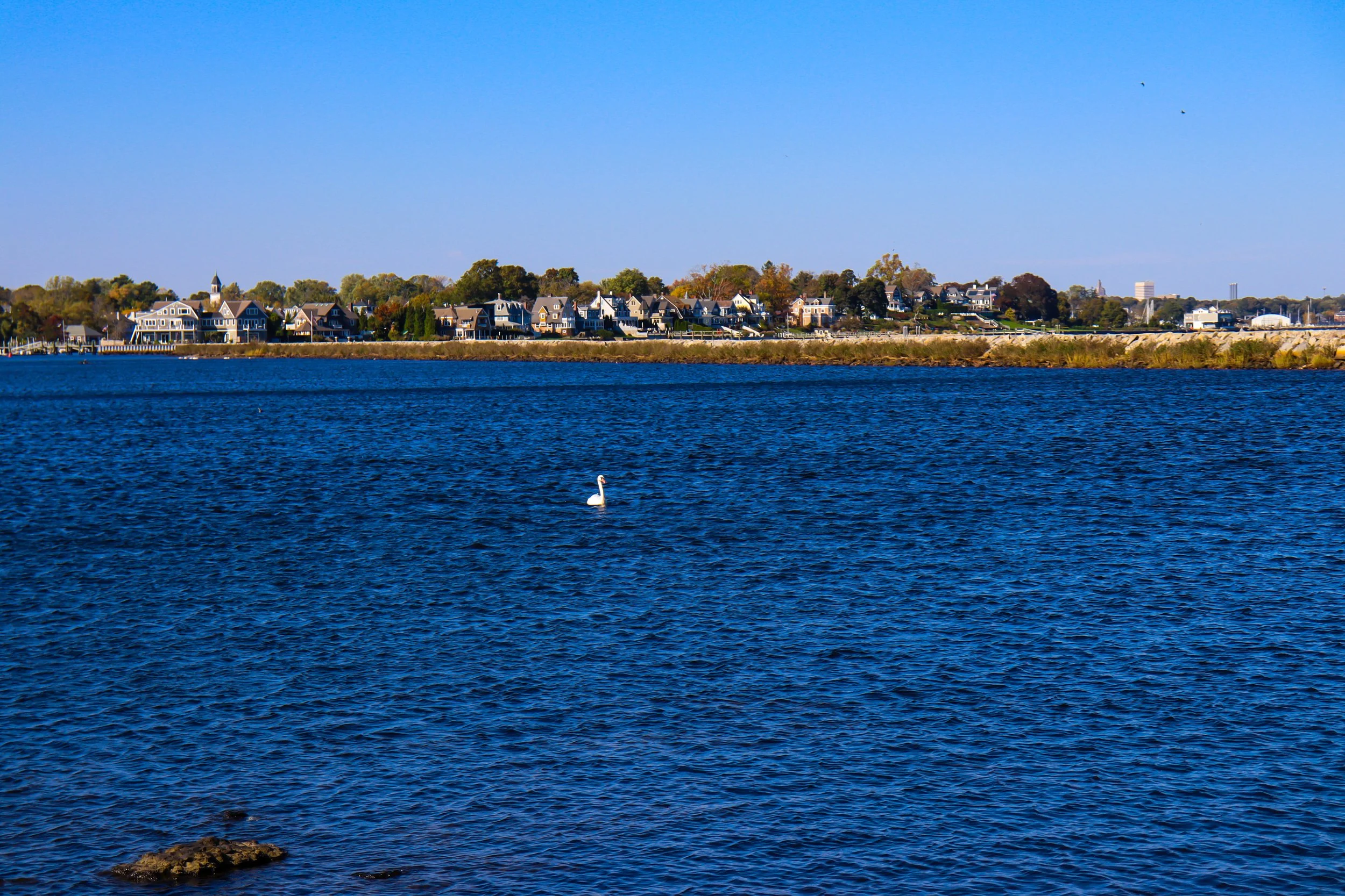 IMG_4886.jpg