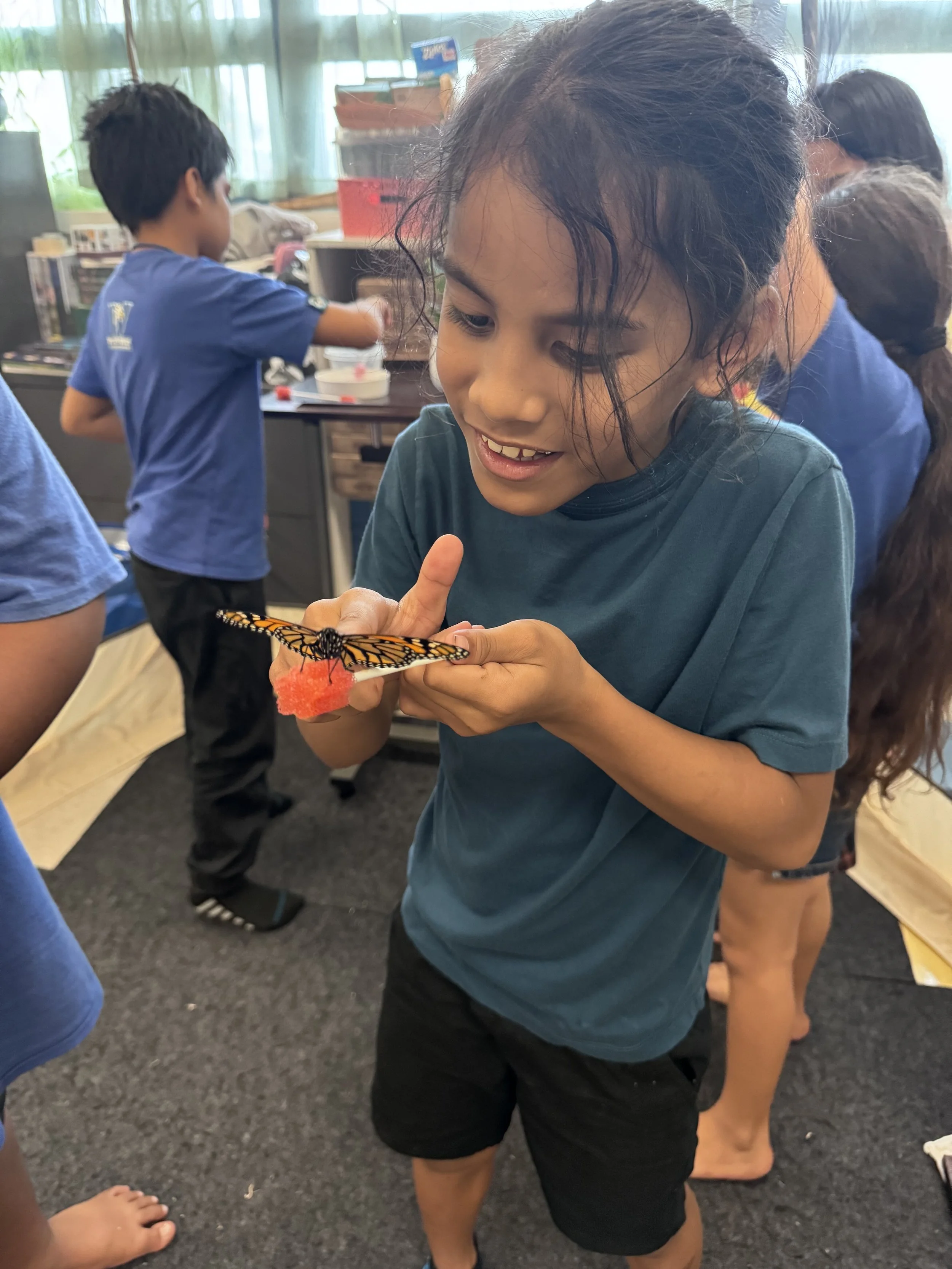 Classroom Visitations