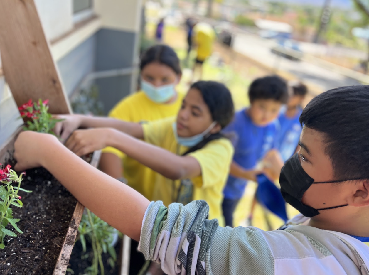 School Yard Habitat