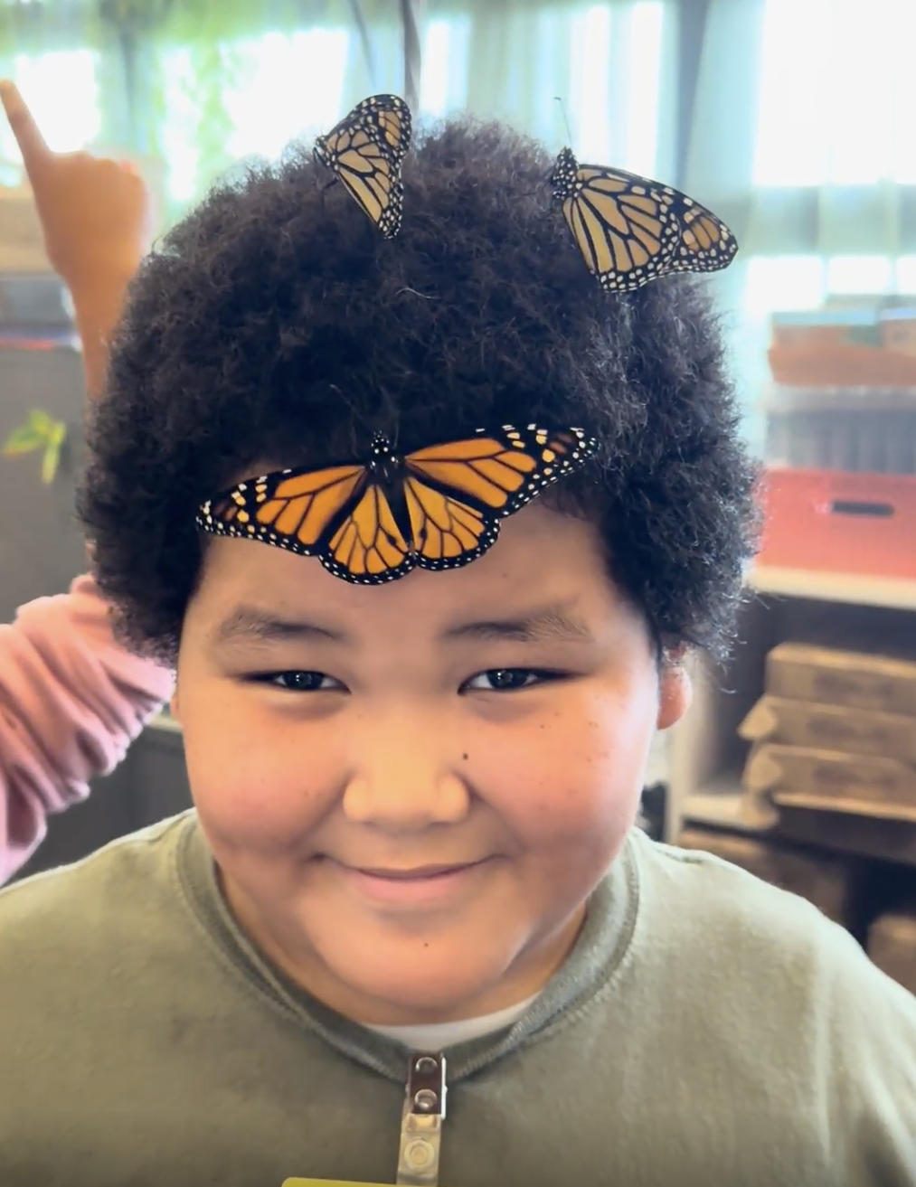 Monarch Butterfly Conservation