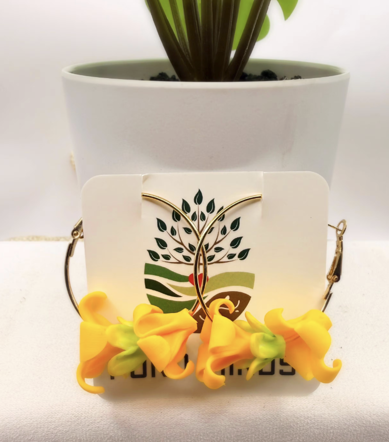 Screenshot 2026-02-17 at 9.16.26 PM.png