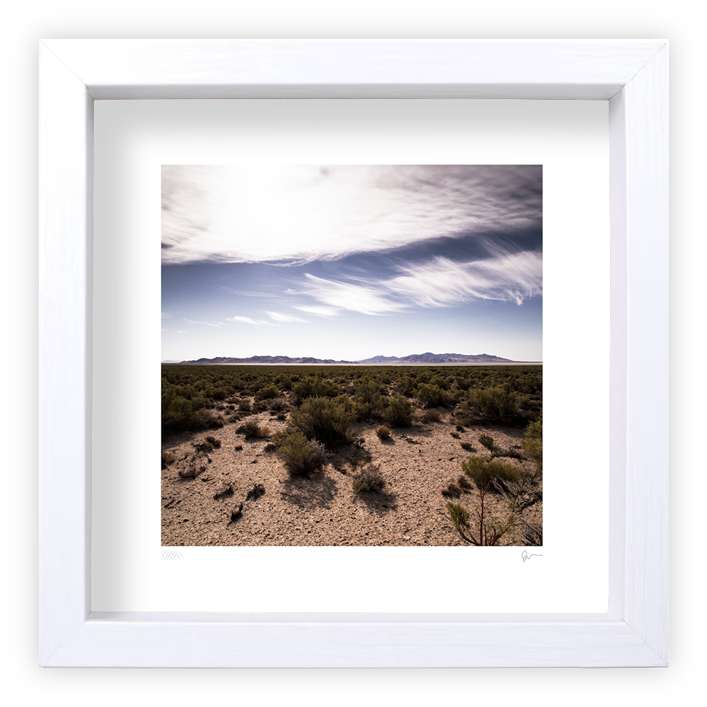 12VA_INTO_THE_WILD_12x12_framePic_062724.png