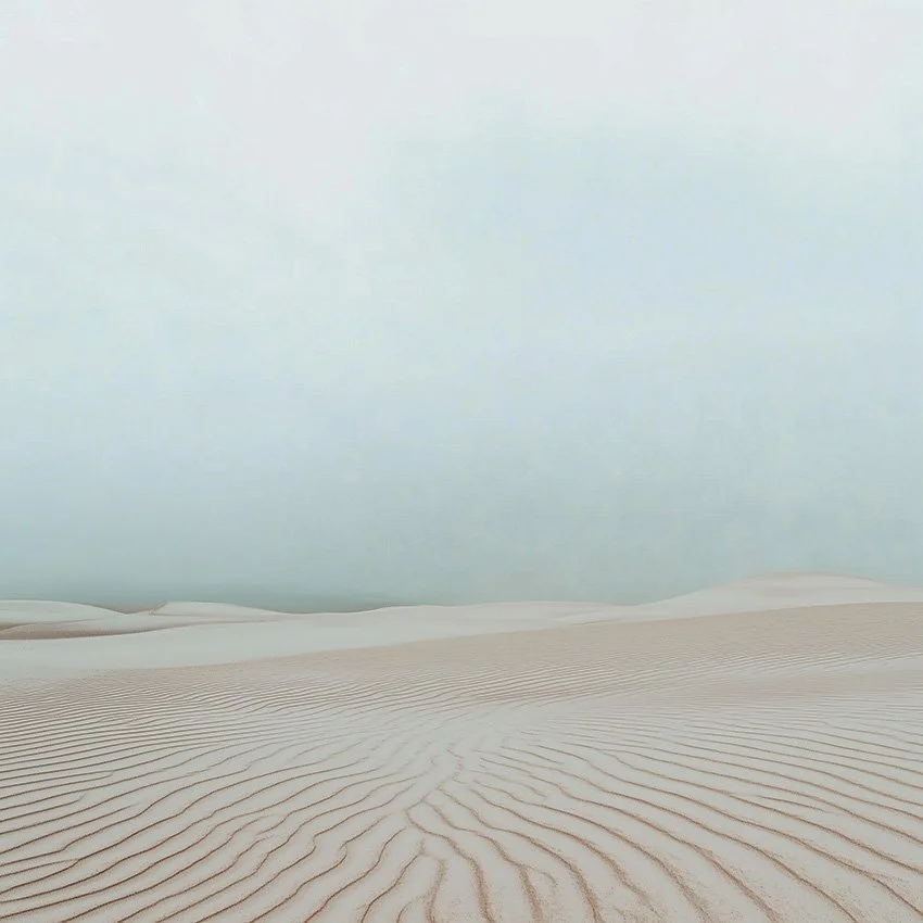 12va_dune4_032625_HIRES-upscale-5x.jpg