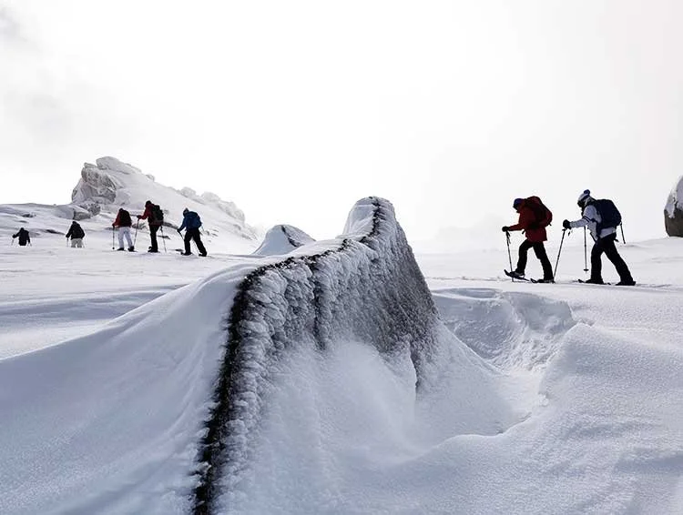 Snowshoe group crossing a snowy ridge near Thredbo