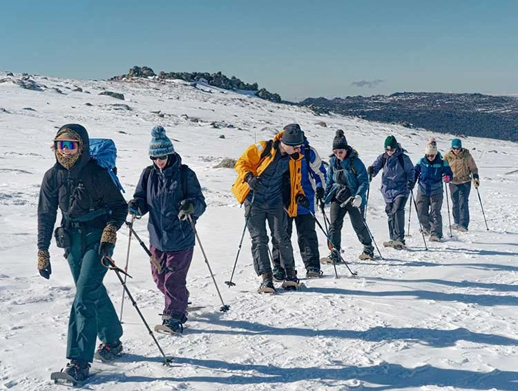 Snowshoe group on the route to Mt Kosciuszko