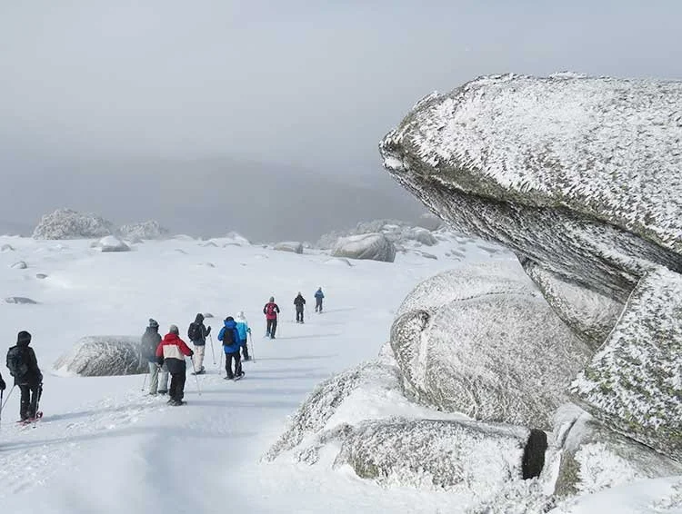 Group snowshoeing among the South Ramshead boulders