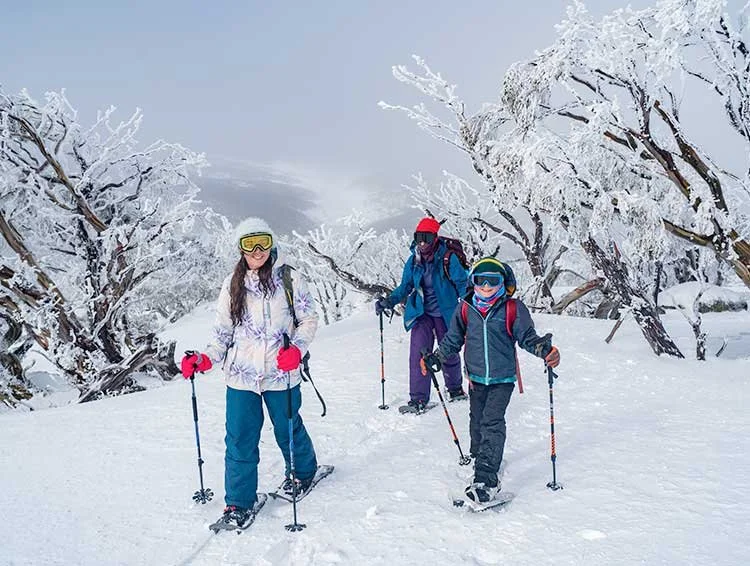 Snowshoeing through the frozen snow gum forest