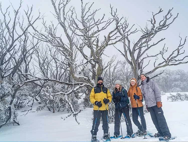 Porcupine Rocks — snowshoeing the Perisher backcountry