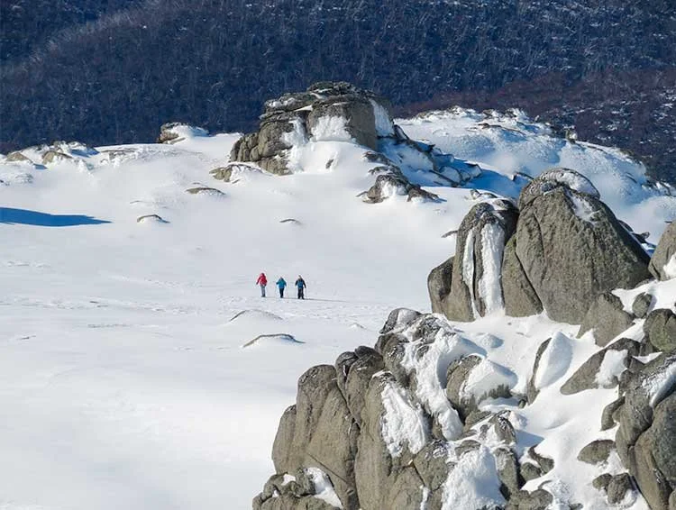 Snowshoeing across the Main Range towards Kosciuszko
