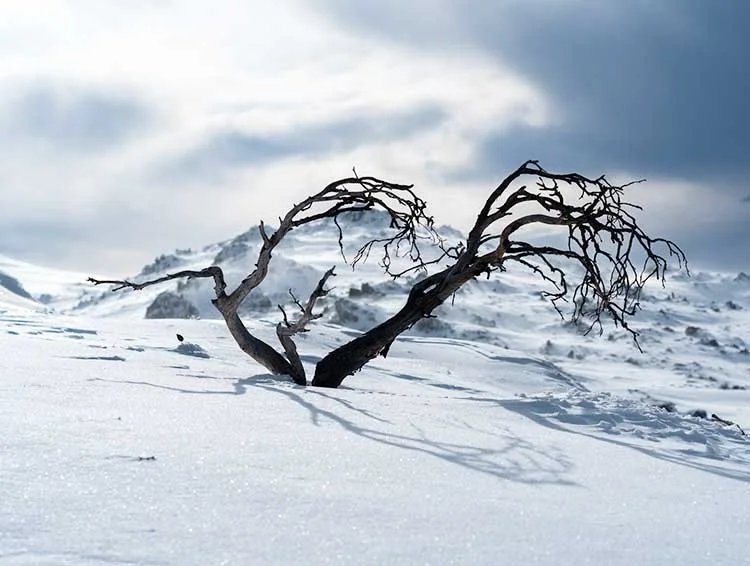 The Ramshead Range in winter