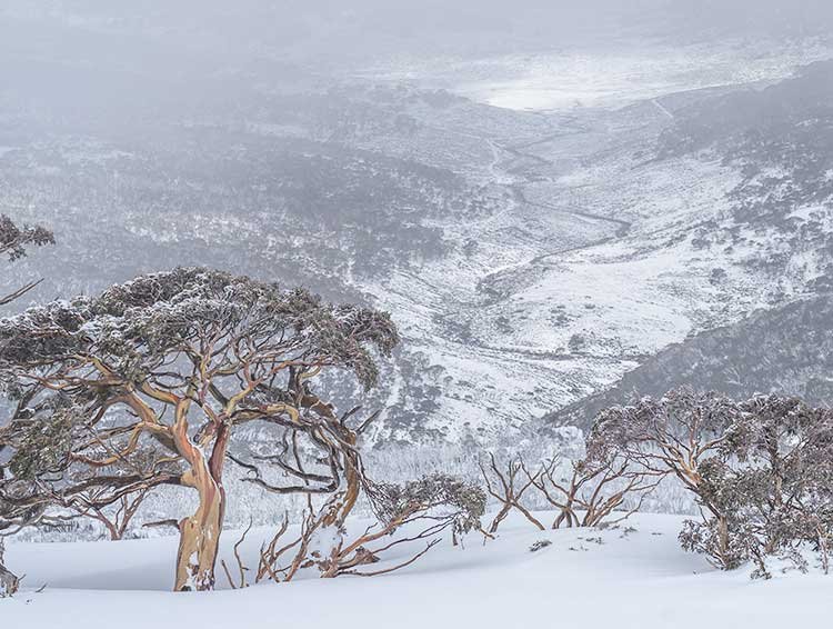 Snow-covered Main Range views from the ascent