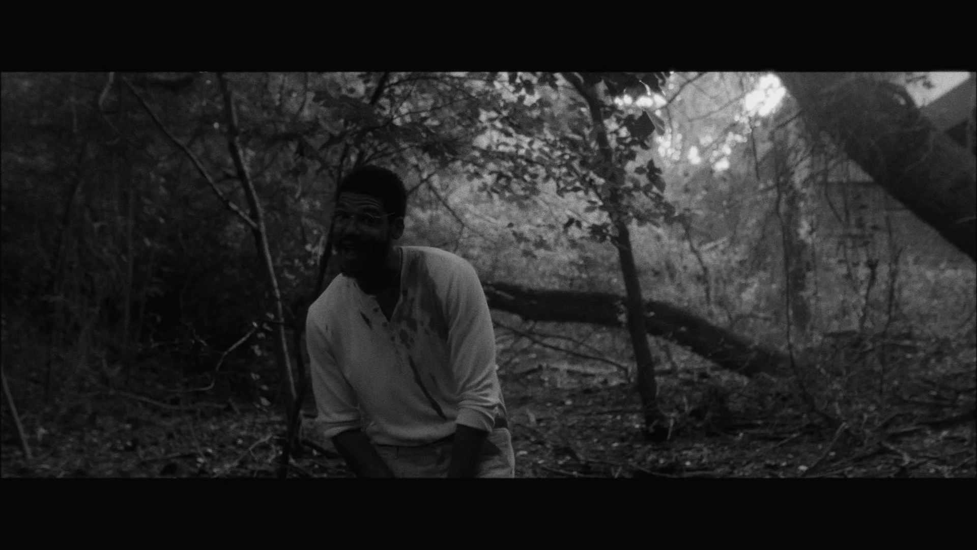 Still 2025-08-15 152958_1.7.1.JPG