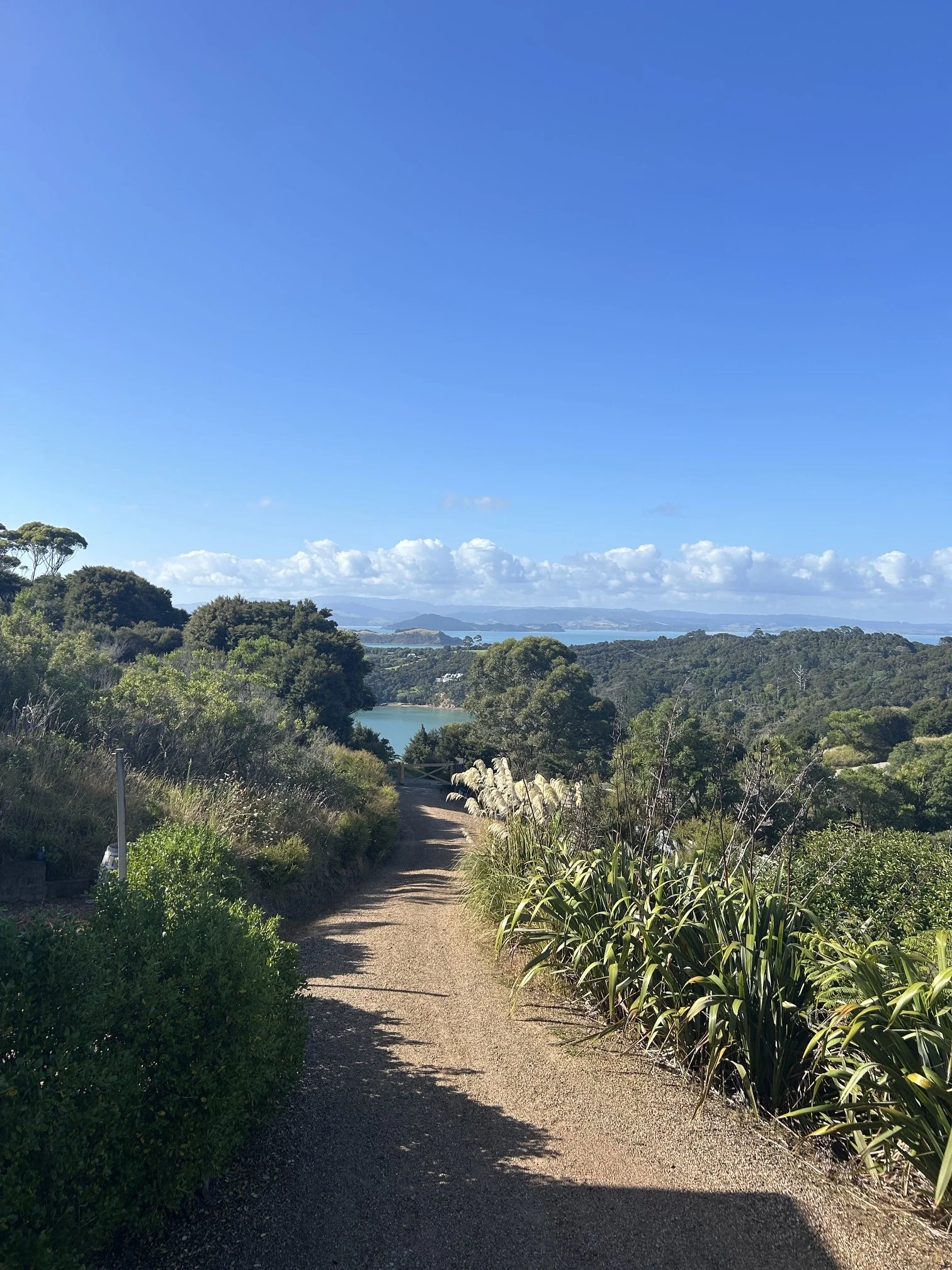 View from Jasper Ridge near Man O Wat