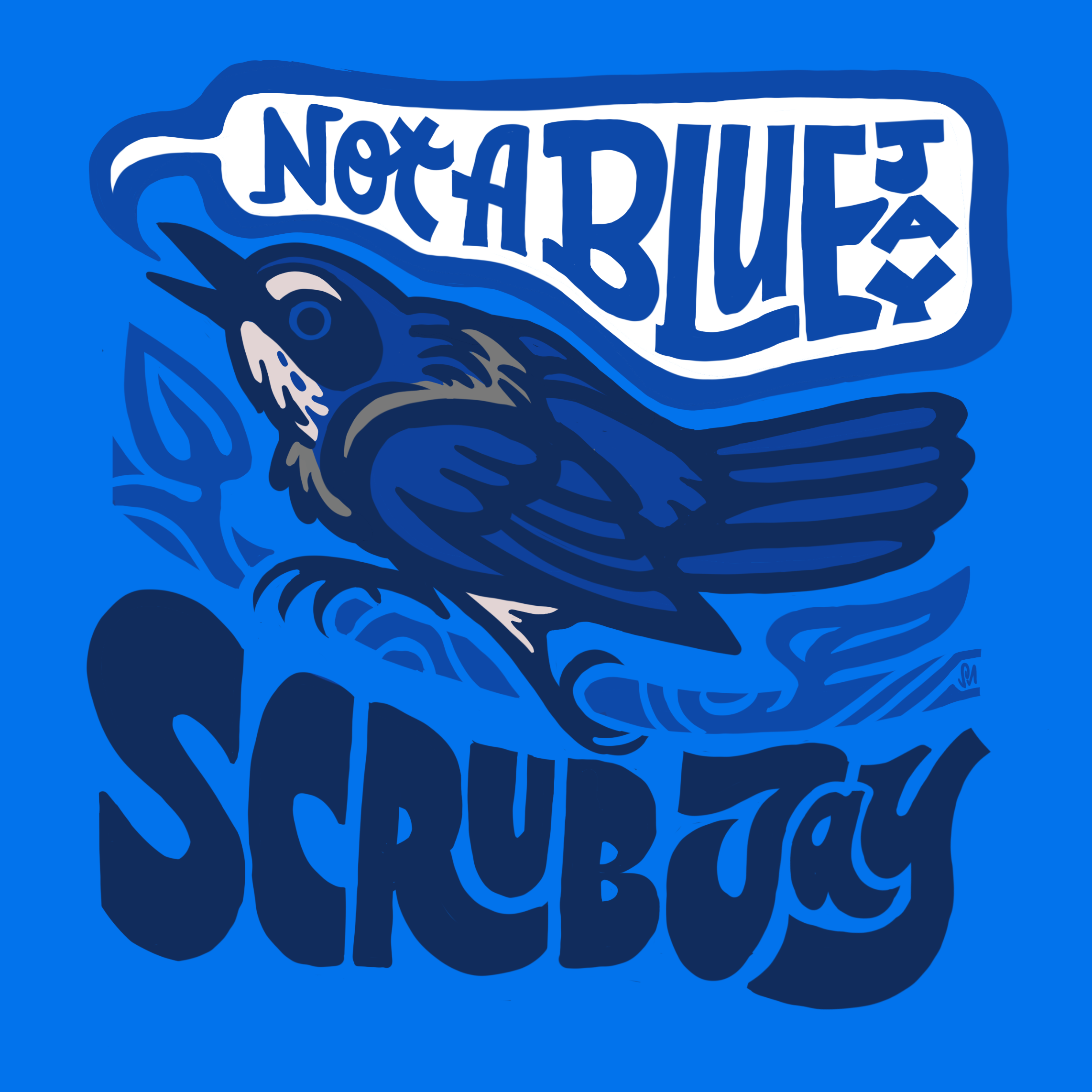 SusannaNegrete_Birds01_ScrubJay.png