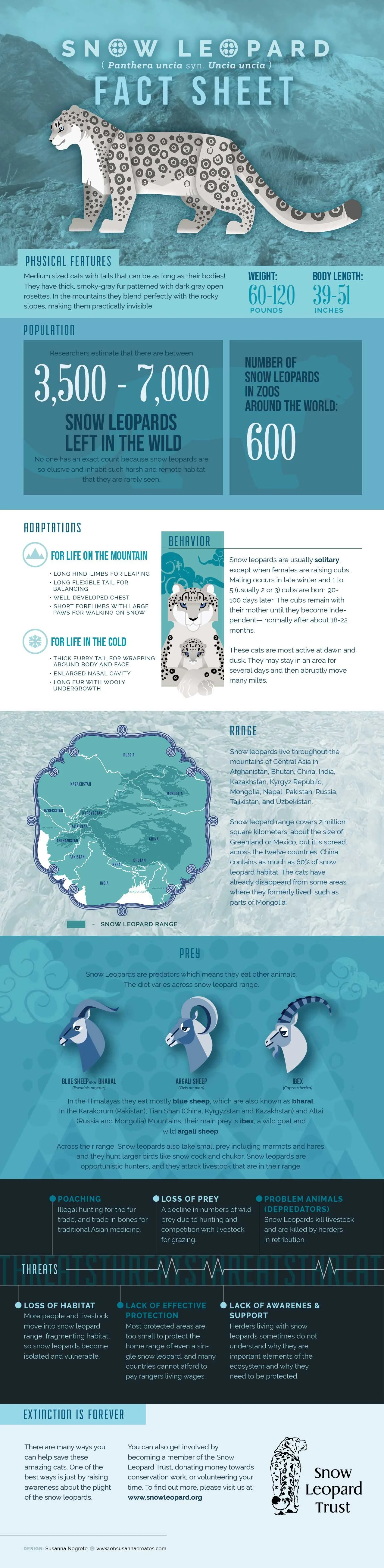 Infographic