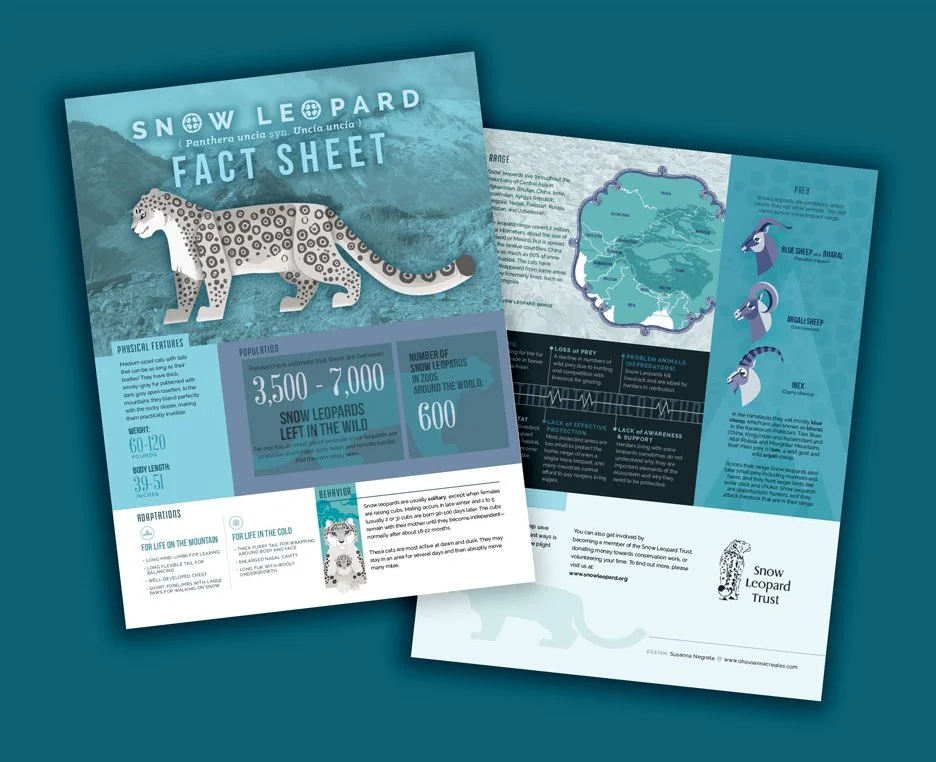 Snow Leopard Infographic