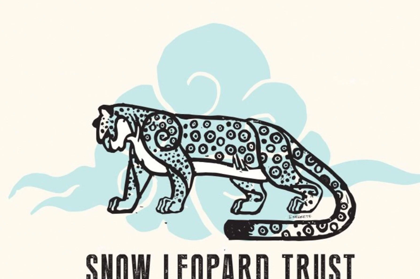 Snow Leopard illustrations