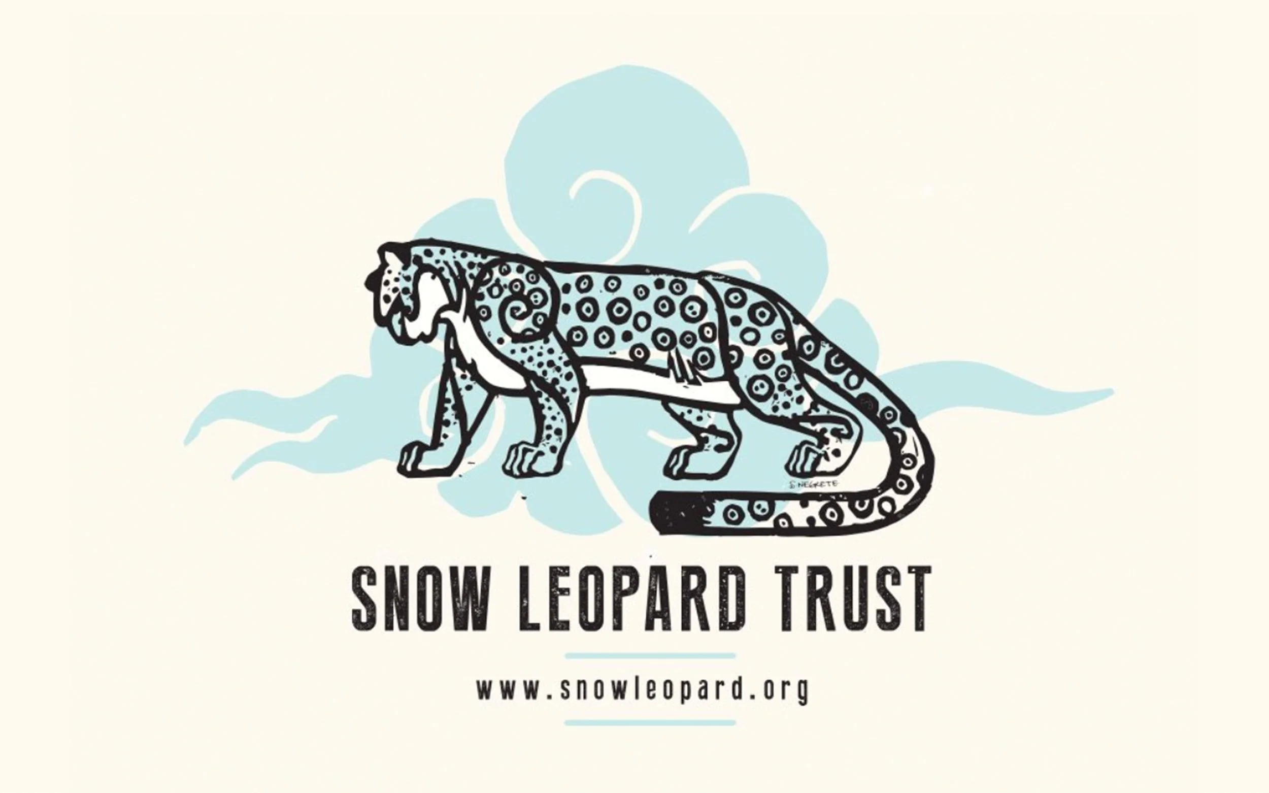 SusannaNegrete_SnowLeopardIllo_01.jpg