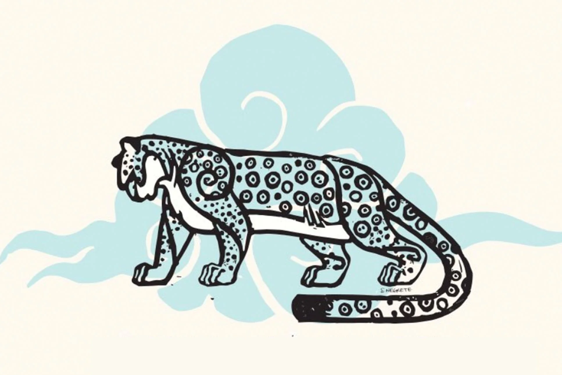 Snow Leopard illustrations