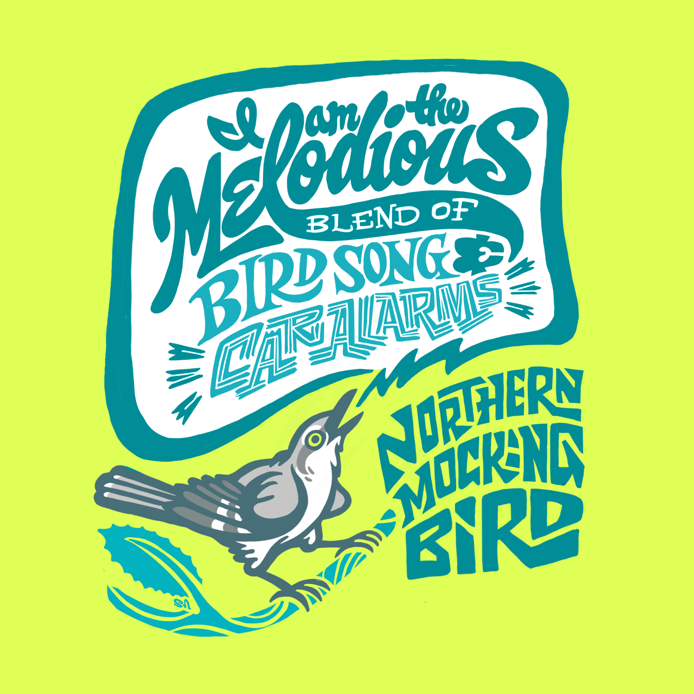SusannaNegrete_Birds02_NorthernMockingbird.png