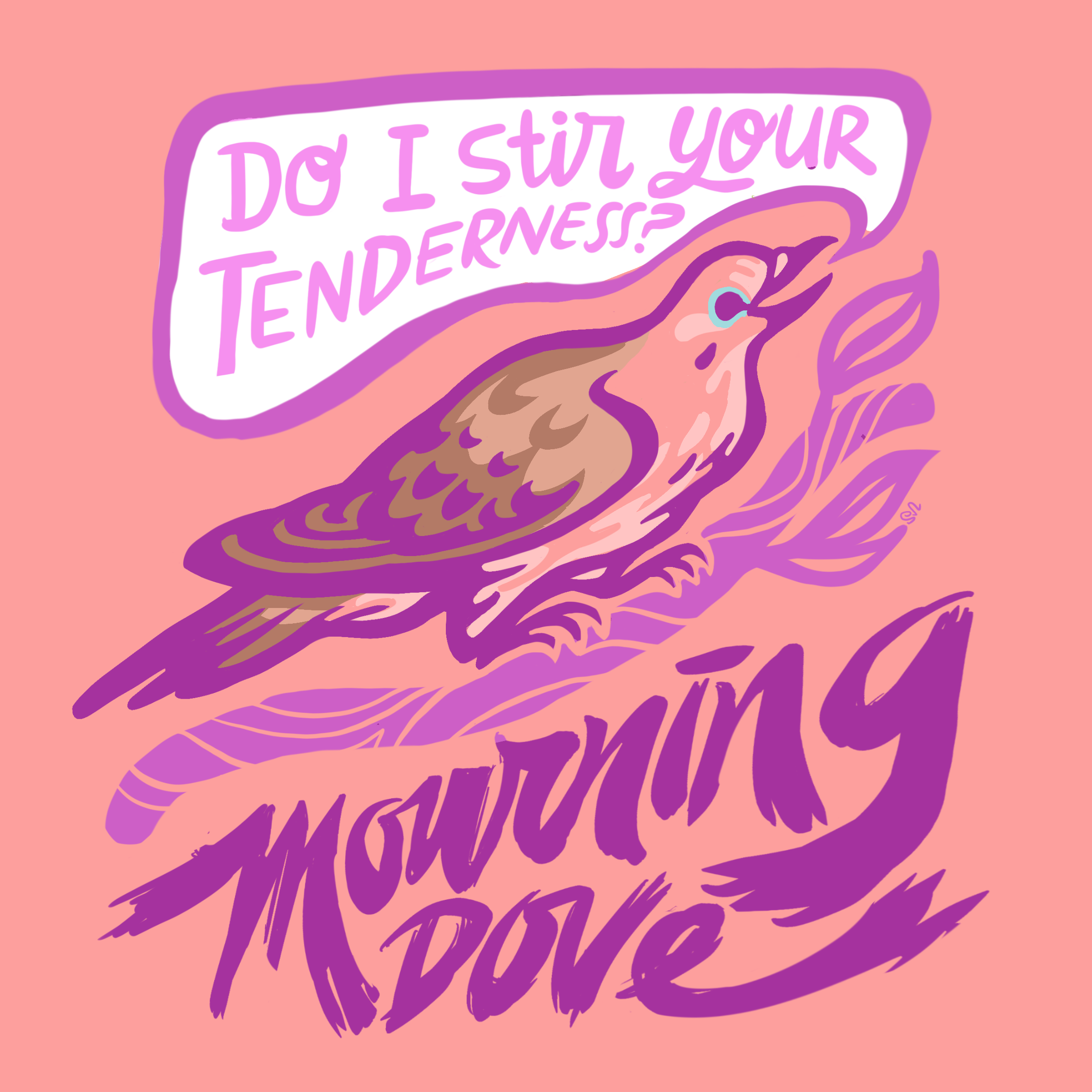 SusannaNegrete_Birds03_MourningDove.png