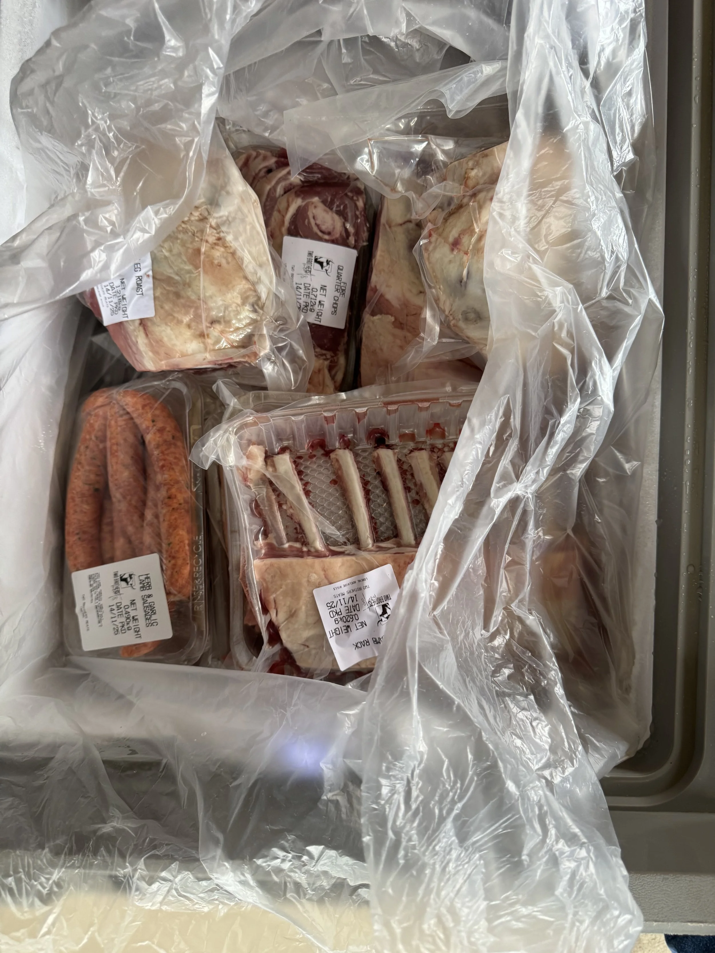 Spring Lamb 2026-3.jpg