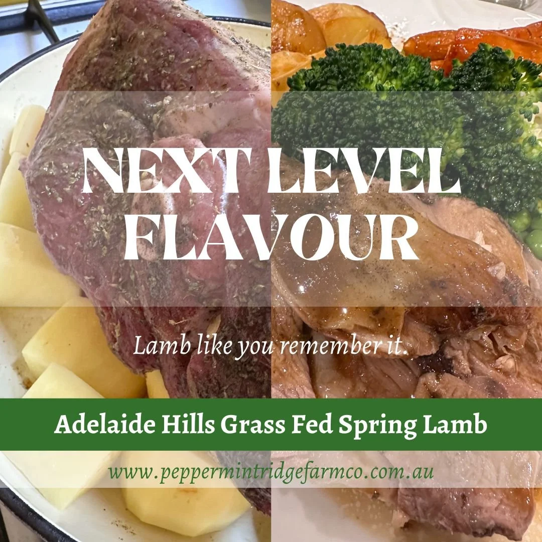 SPRING LAMB @ Oakbank Market.