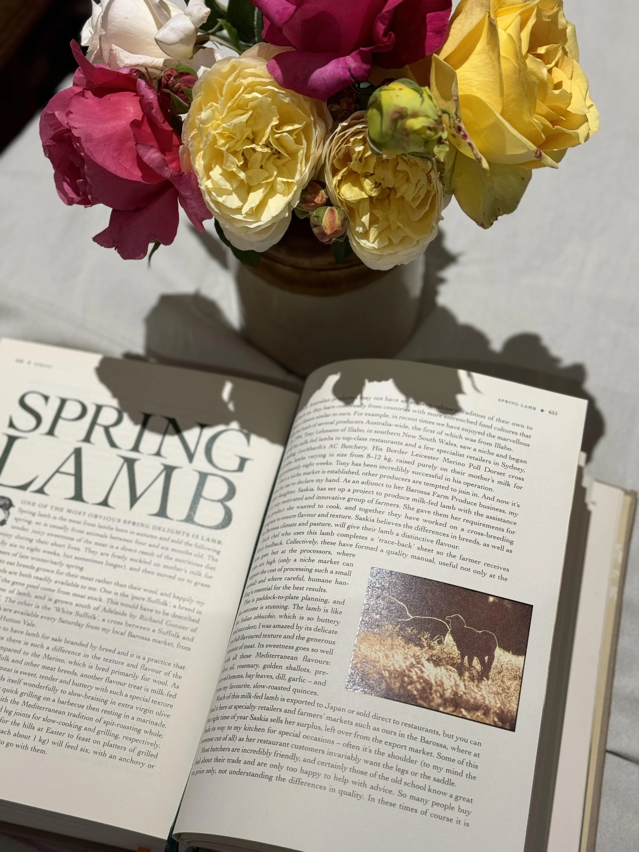 maggie spring lamb.jpg