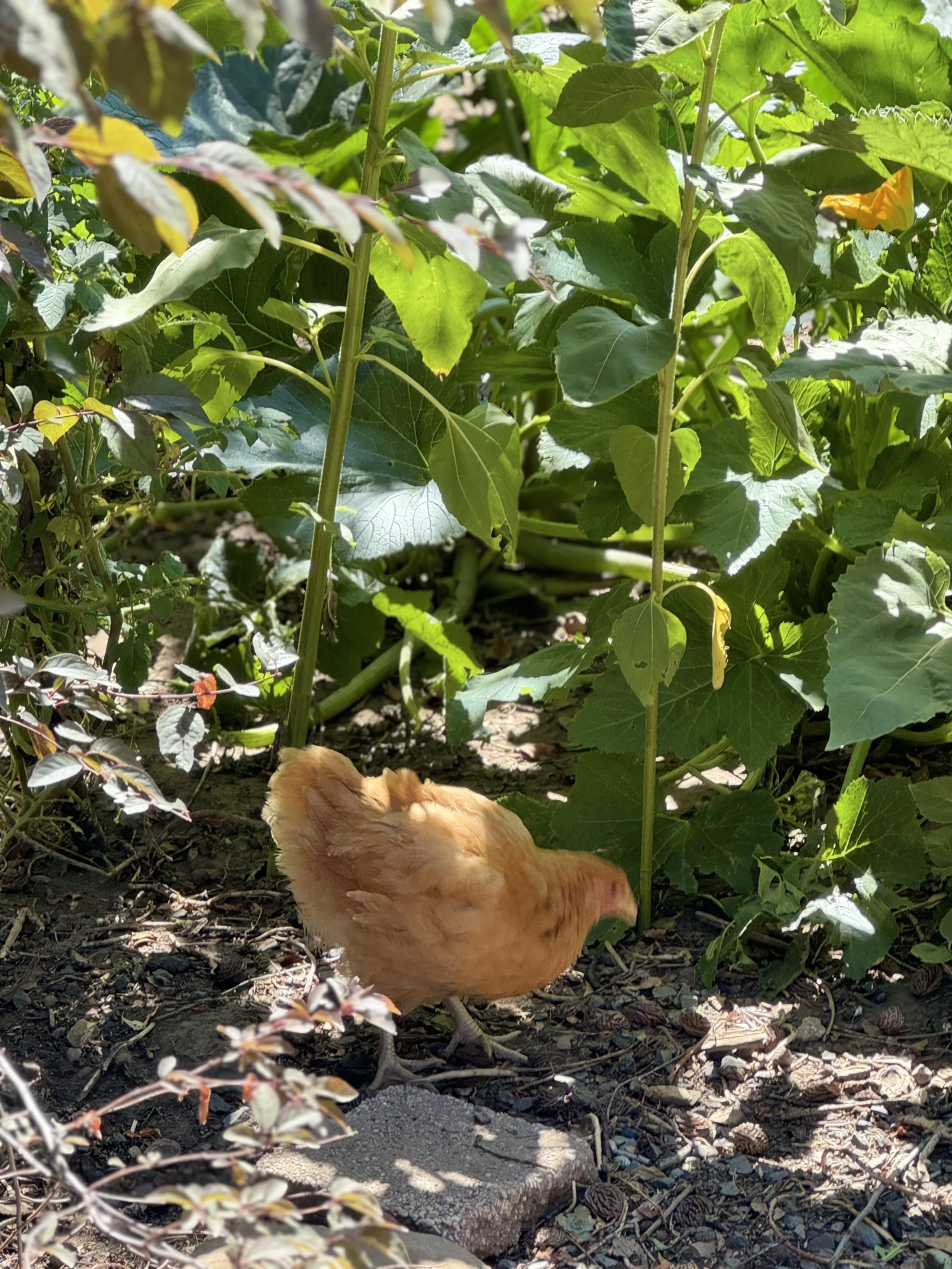 Photo 6-2-2026, 11 08 36 am.jpg