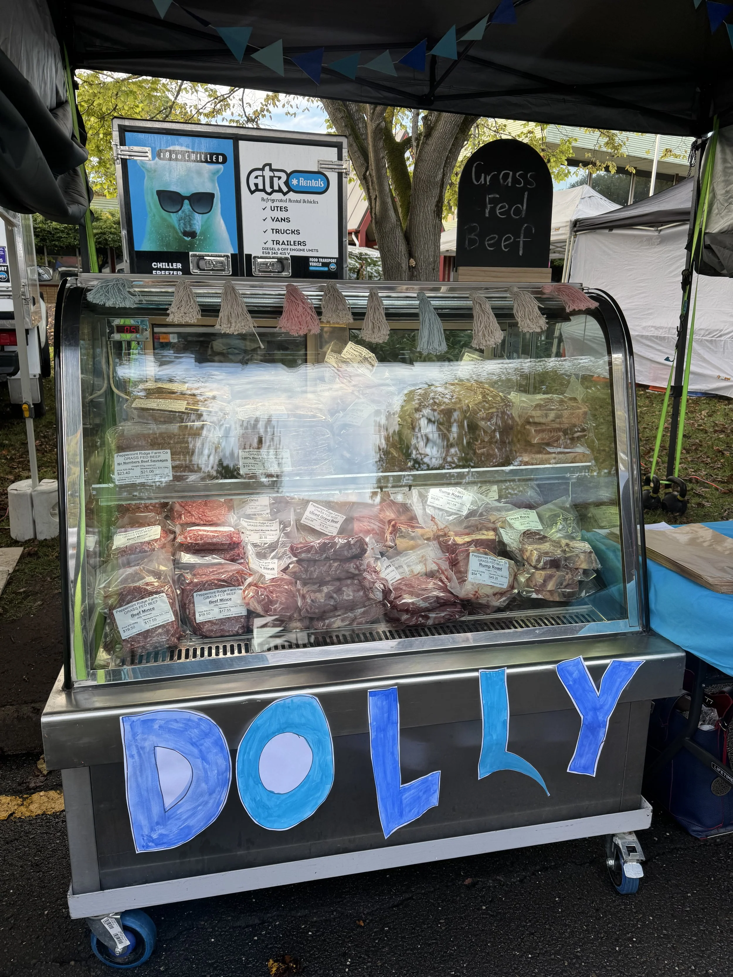 Thank you : Do it for Dolly Day 2026