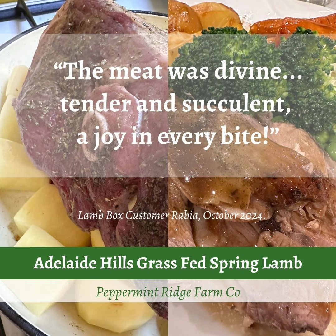 SPRING LAMB by the cut @ Adelaide Showground Farmers Market POP UP FARMERS MARKET (Goodwood Primary School)