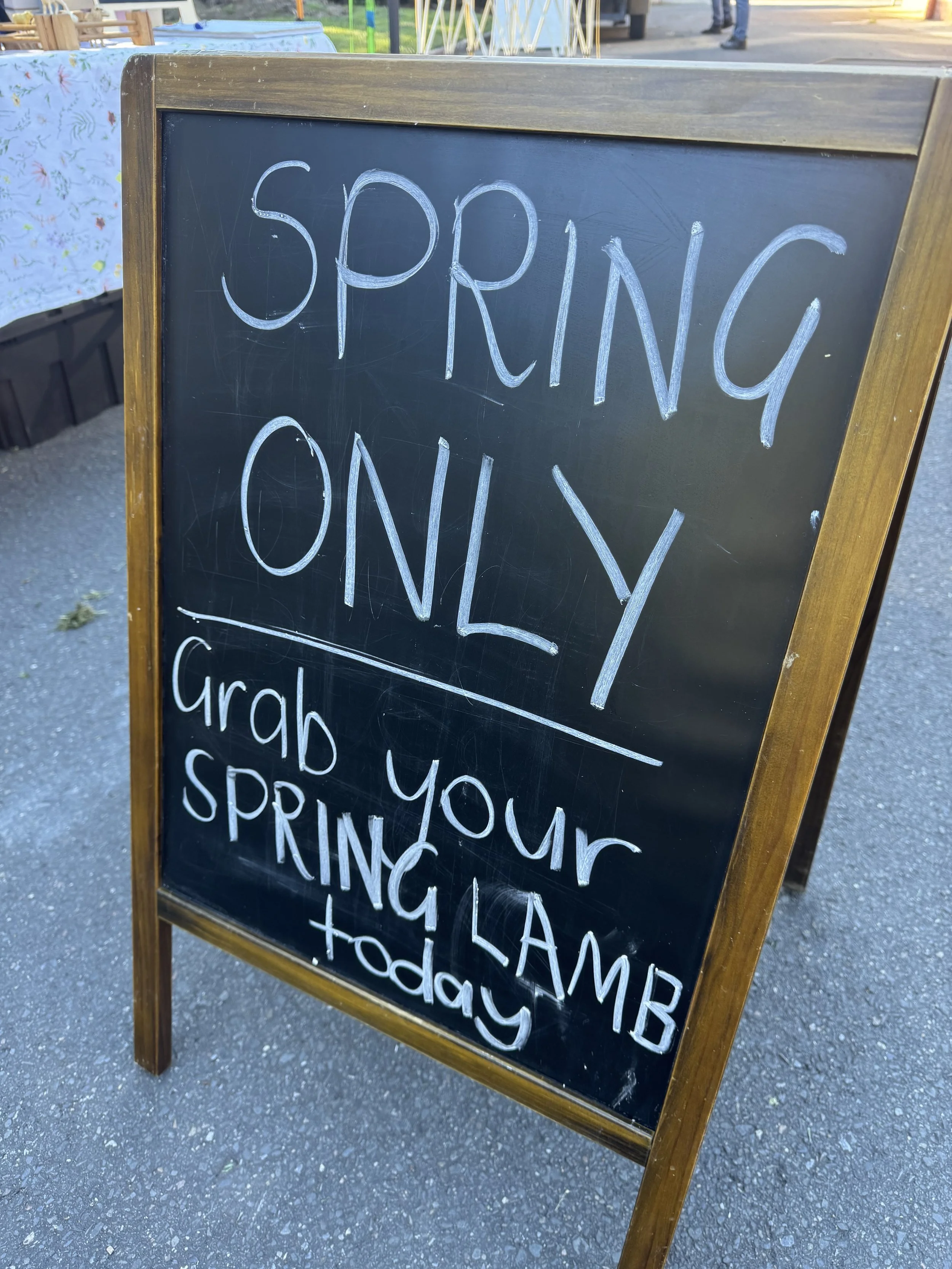 SPRING LAMB AHFM october 2026-6.jpg