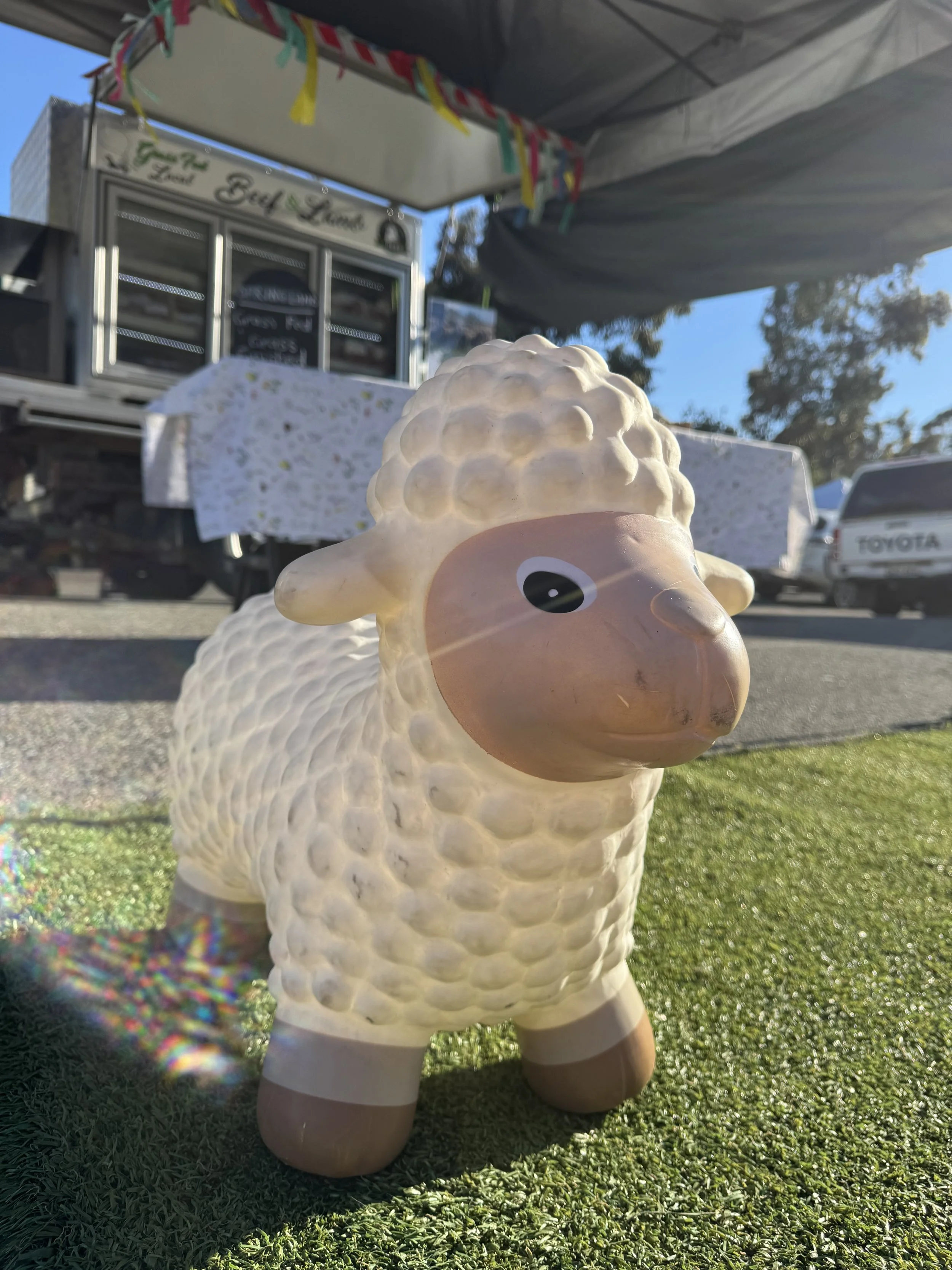 SPRING LAMB october 2026 ASFM-2.jpg