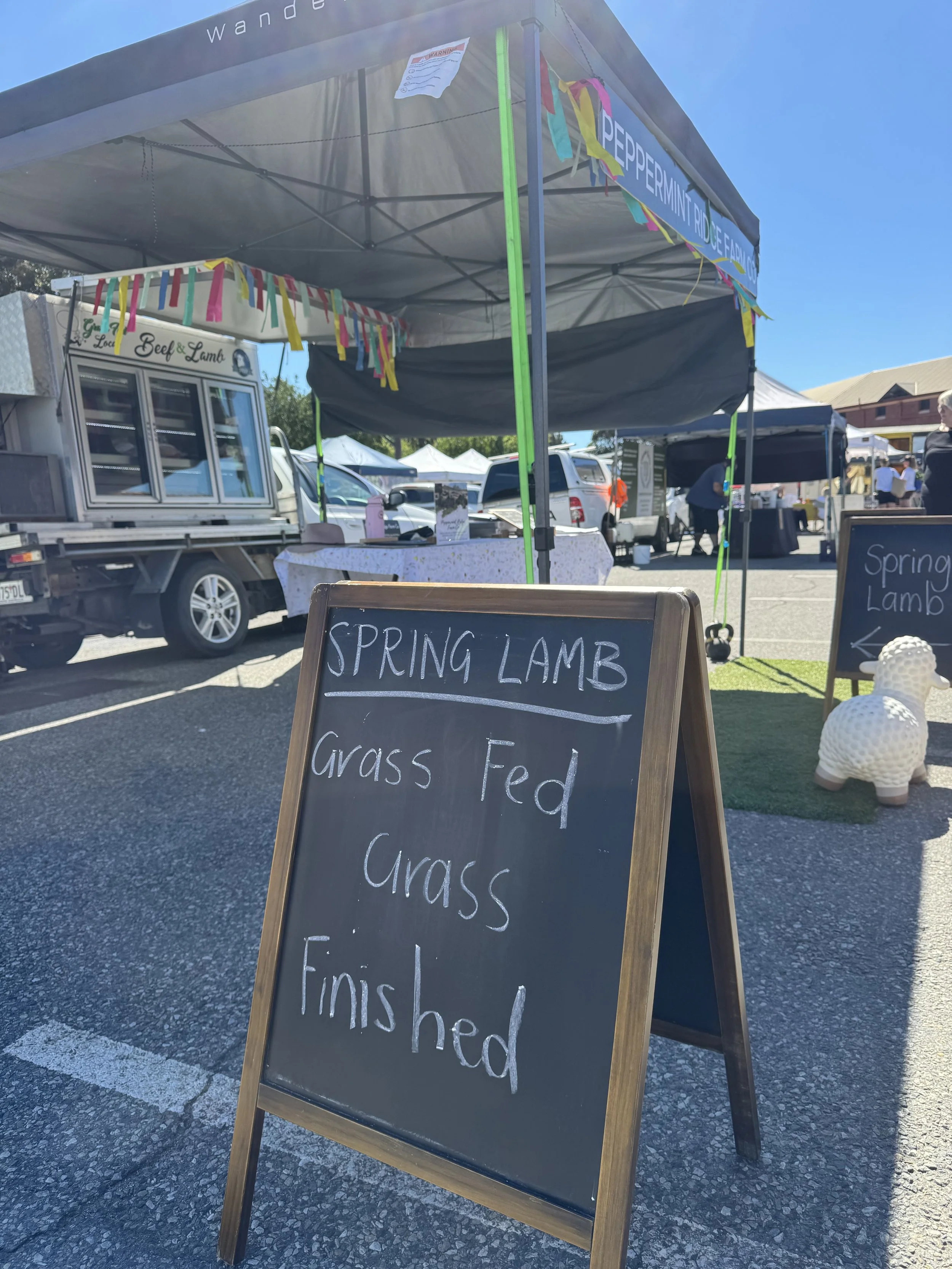 SPRING LAMB october 2026 ASFM-3.jpg