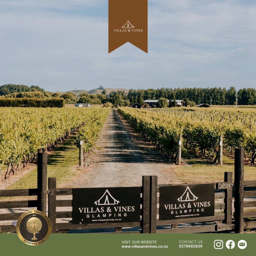 Escape to luxury and relaxation in our chic glamping villas. Explore picturesque cycle trails and indulge in tastings at Hawke's Bay's finest wineries, all from your private sanctuary. 

BOOK NOW 

#GlampingLife #LuxuryGetaway #HawkesBay #NatureRetre