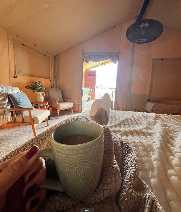 You don&rsquo;t need to travel far to feel worlds away ✨
Enjoy cosy mornings, vineyard surroundings, and the simple luxury of glamping in sunny Hawke&rsquo;s Bay.

Your next staycation starts here. 🍷

#StaycationNZ #VillasAndVines #GlampingNewZealan