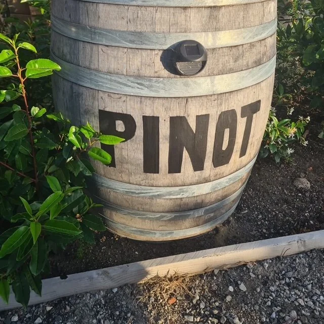 IMG_0767 pinot winebarrell .JPG