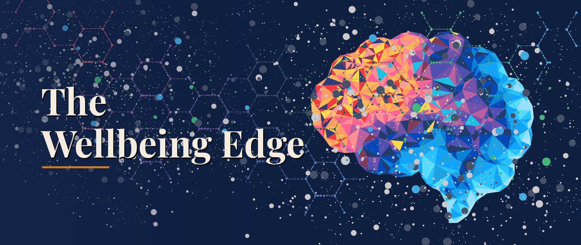 The Wellbeing Edge - Understand the real wellbeing of people in an organisation by measuring first and diagnose wellbeing in your company first before prescribing the actual need. Reduce depression & attrition in the workplace