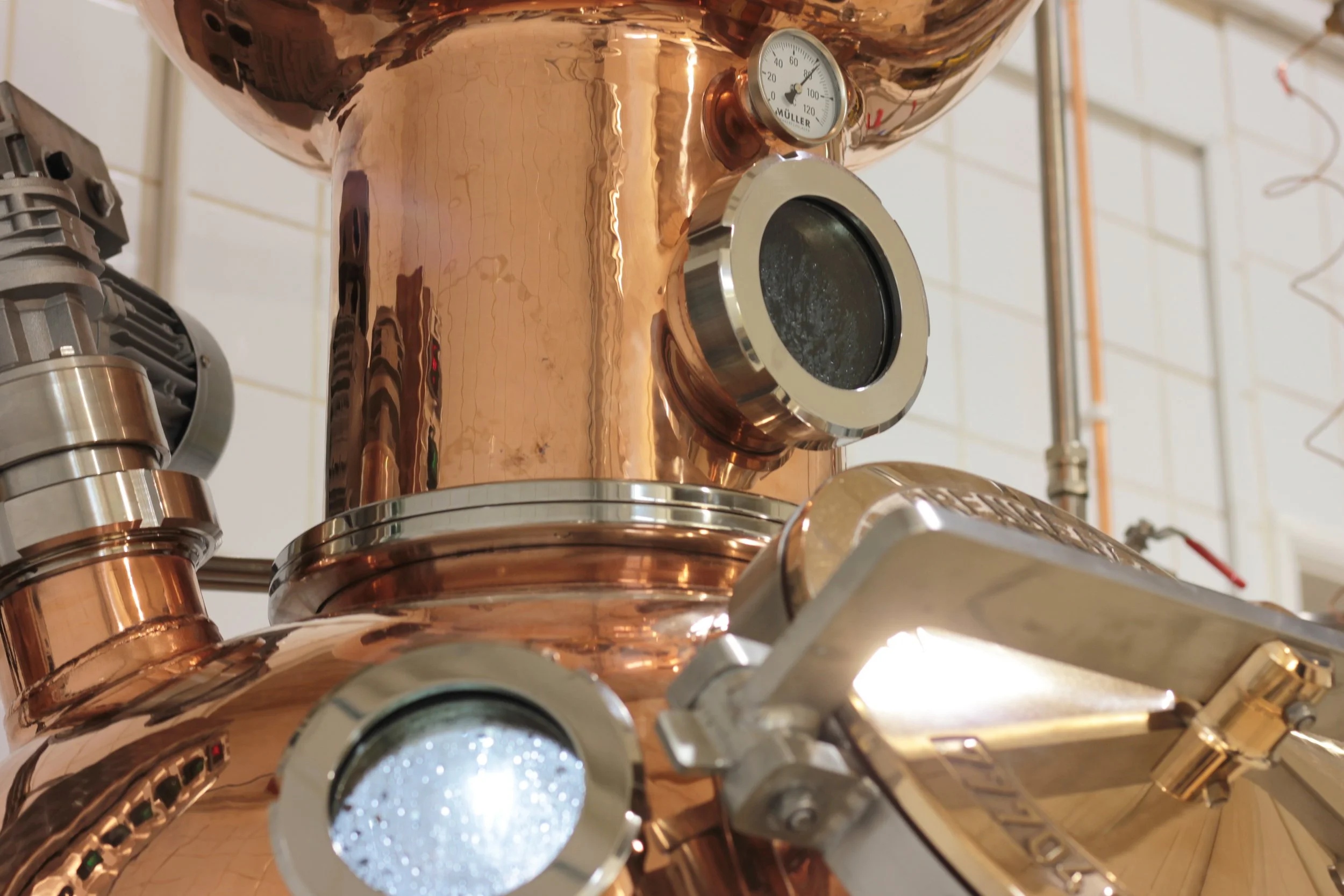 Devil's Botany Distillery London Absinthe Gin Vodka Liqueurs