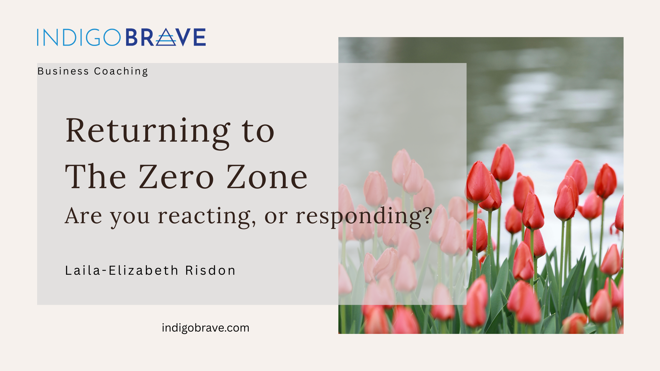 Returning to the Zero Zone: How to Stay Steady When You’re Triggered