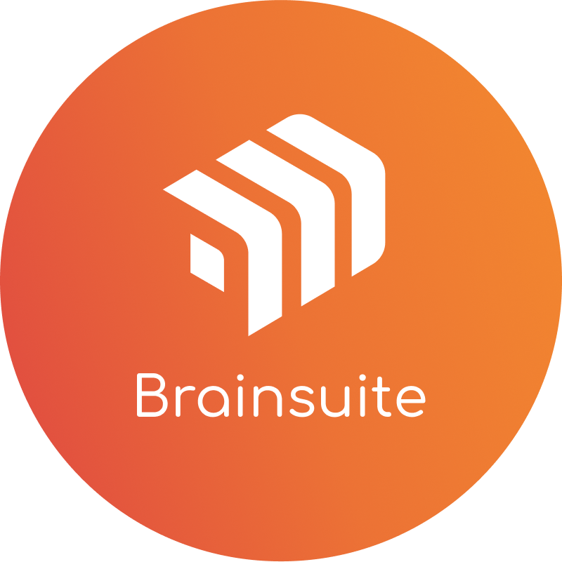 Brainsuite logo with an abstract white icon of three stacked brain shapes on an orange circular background.