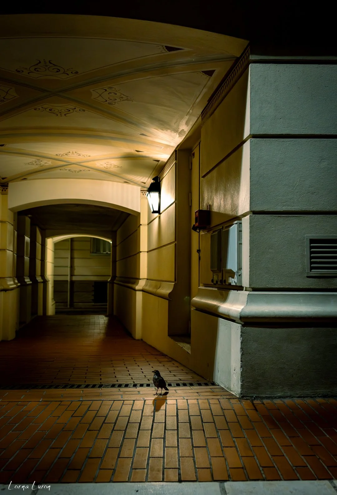 Break of dawn - Monaco