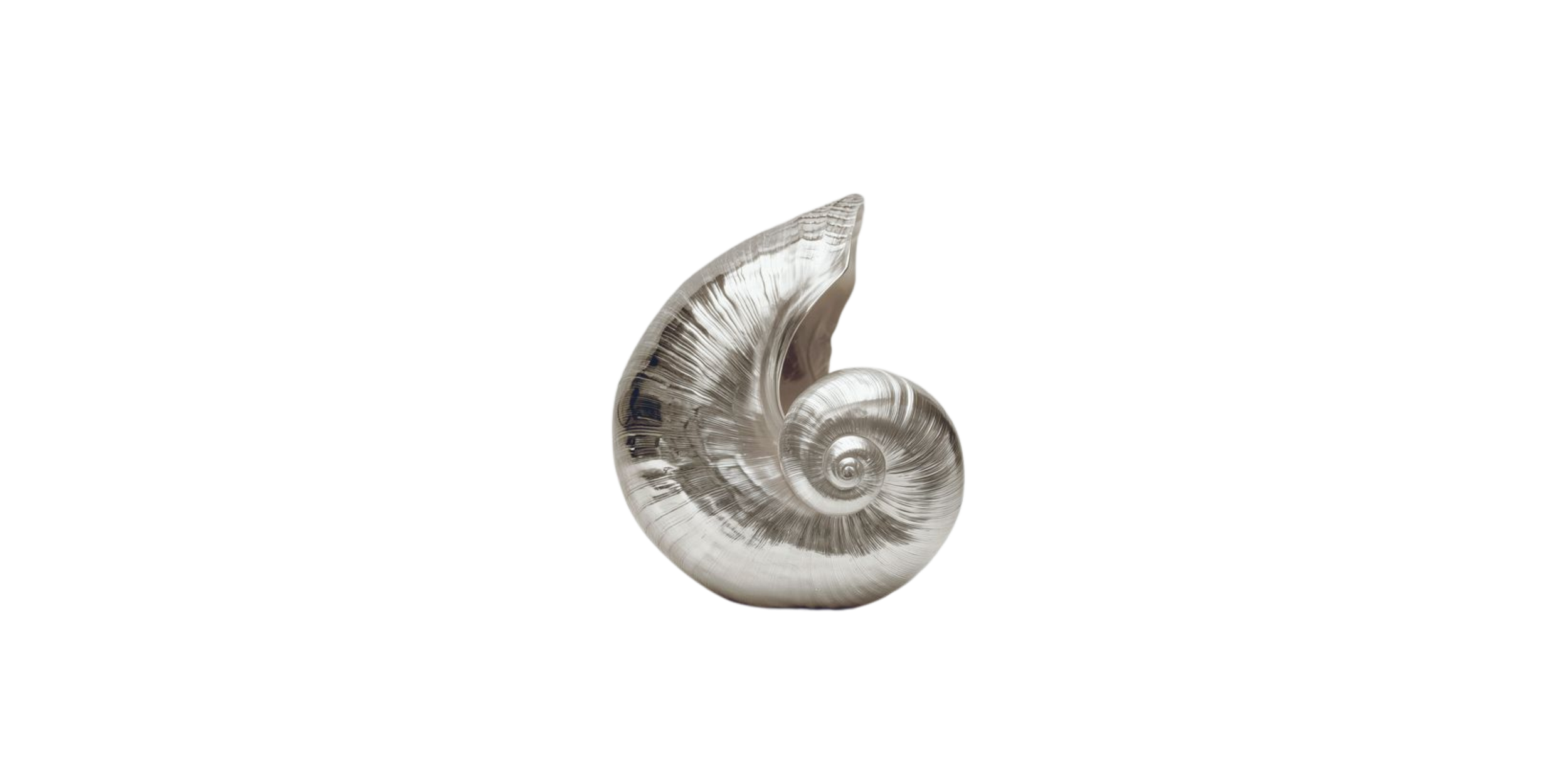 A spiral seashell with a shiny, pearl-like surface on a black background.