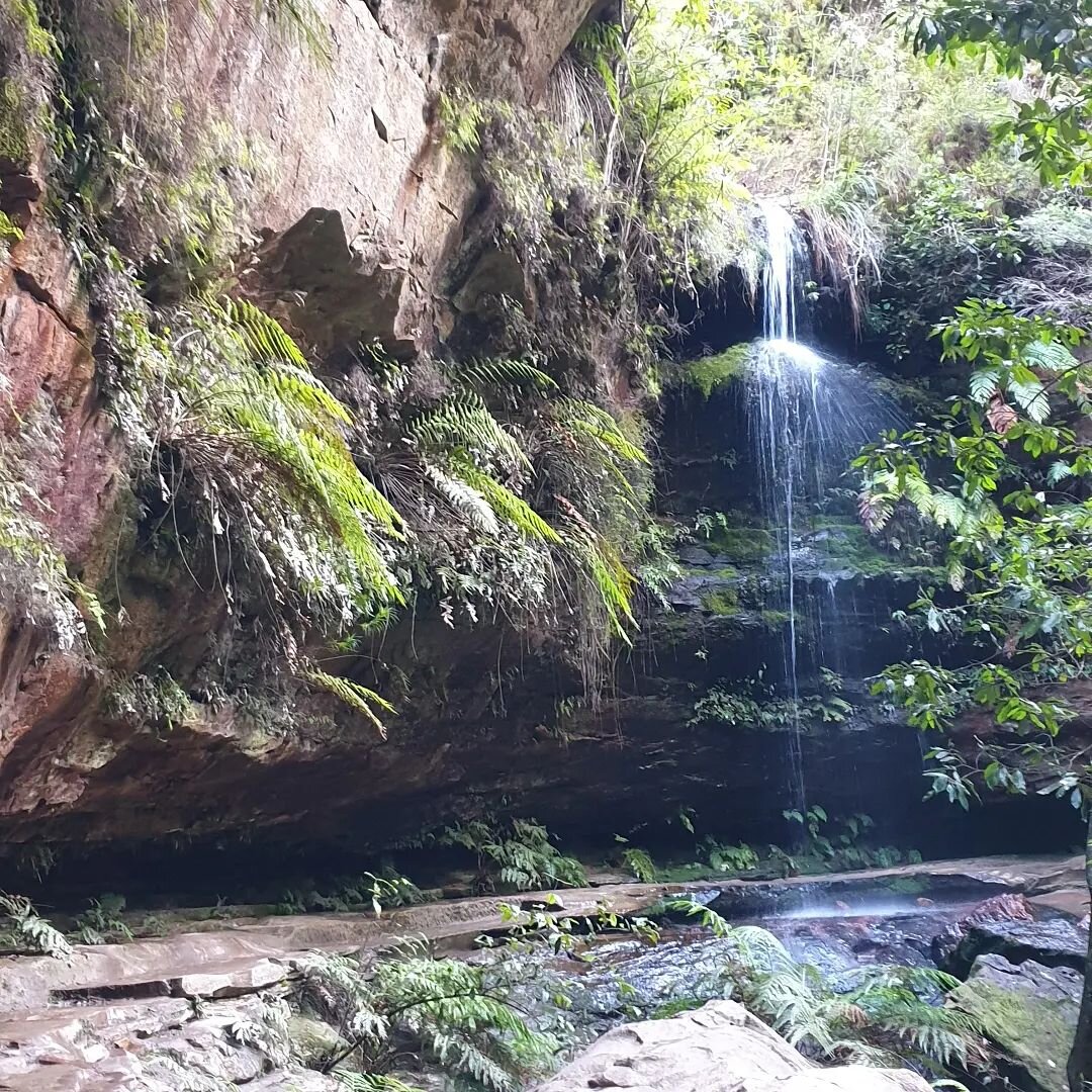 A mini getaway to recharge the batteries and catch up with my good friend Al after all our lockdowns.
🌱
Hiking the grand canyon trail in 2hrs 11mins was amazing. I think I found where all the fairy folk live! The air was clean, fresh and the sound o