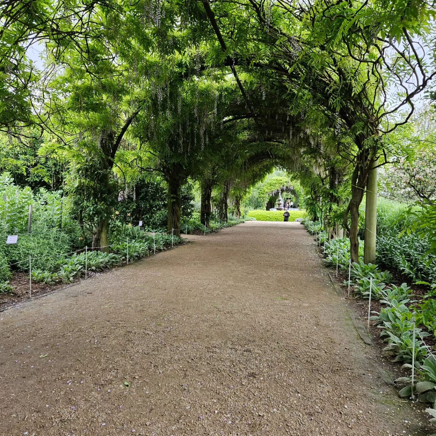 A day out among the beautiful flowers and trees soaking up a family's dream and feeling inspired 🌷🪻🌿🌺