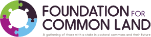 FCL Logo.png