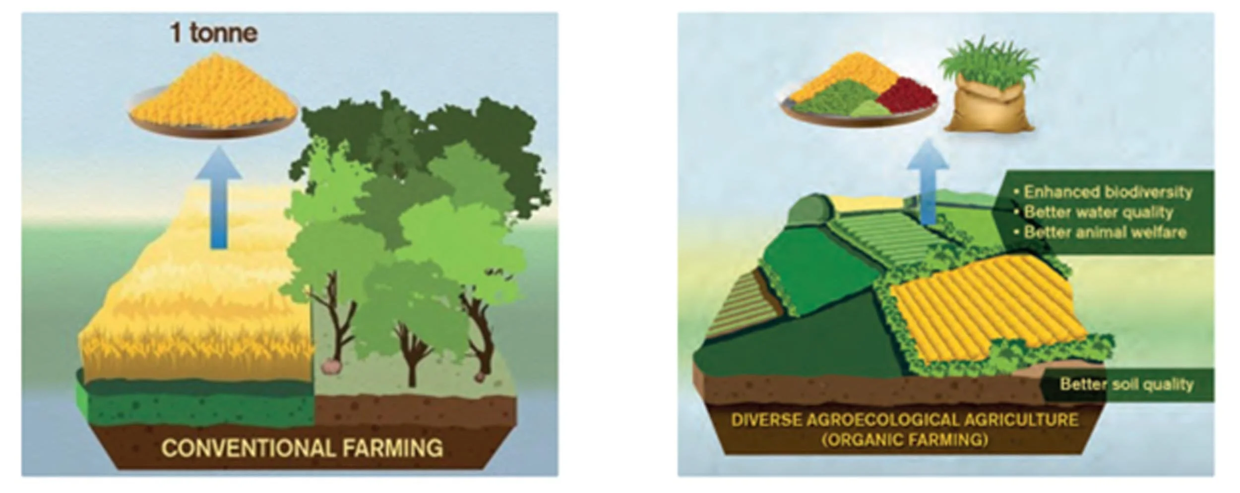 Henry Russell -AFN Case Study - Pic 2.jpg