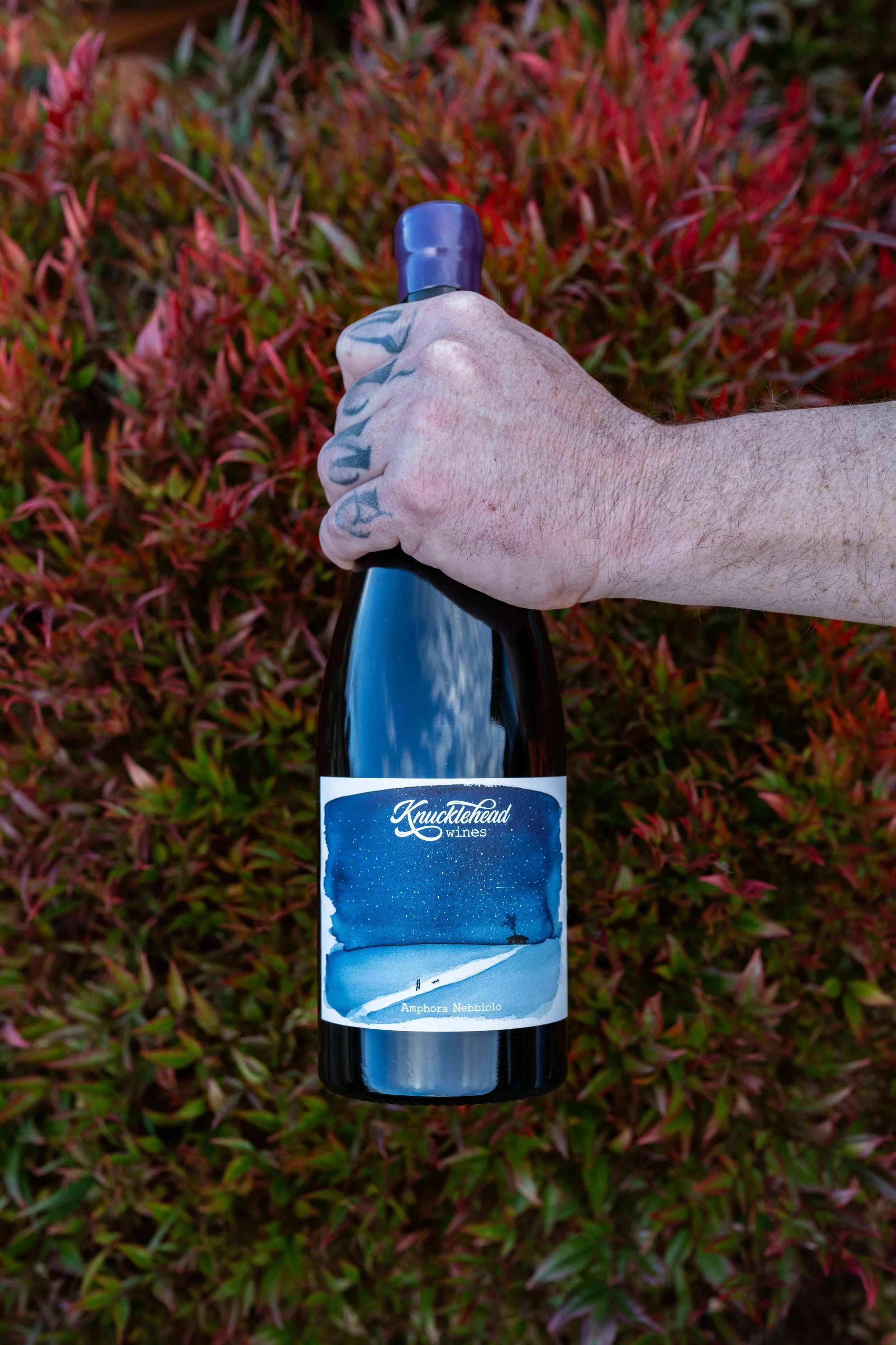 Nebbiolo2025A7R04811.jpg